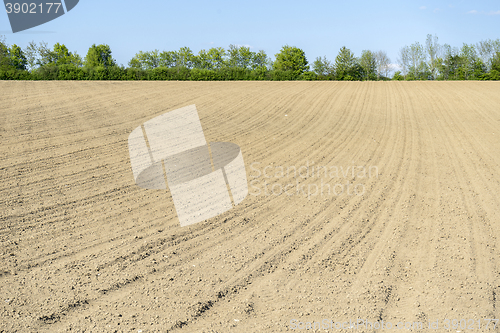 Image of sunny agricultural scenery