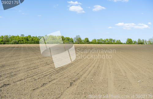 Image of sunny agricultural scenery