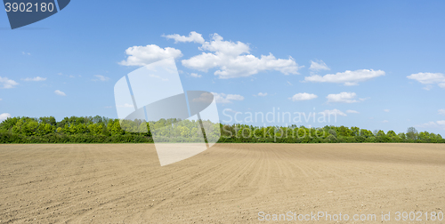 Image of sunny agricultural scenery