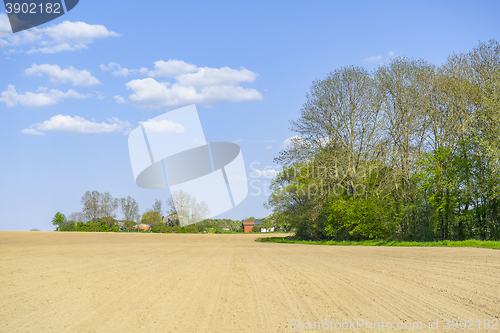 Image of sunny agricultural scenery