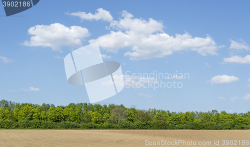 Image of sunny agricultural scenery