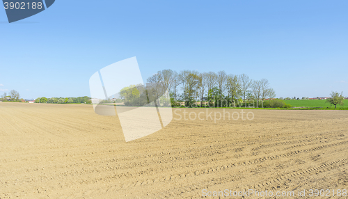 Image of sunny agricultural scenery