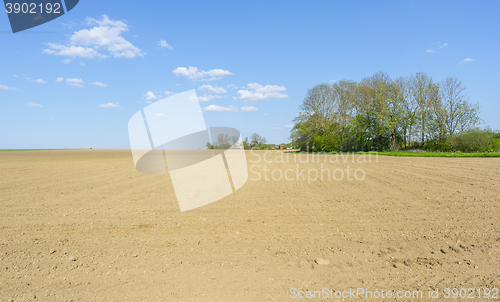 Image of sunny agricultural scenery