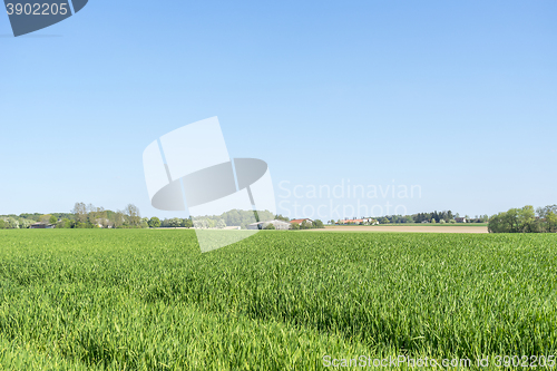 Image of rural springtime scenery