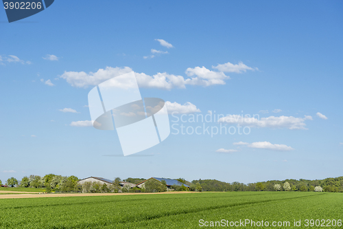 Image of rural springtime scenery