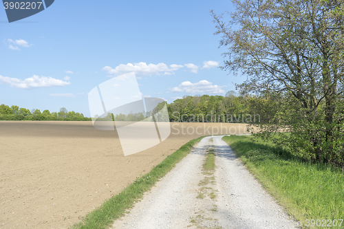 Image of field path at spring time