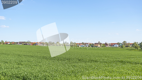 Image of rural springtime scenery