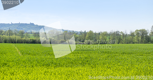 Image of rural springtime scenery