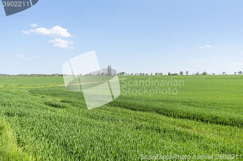 Image of rural springtime scenery