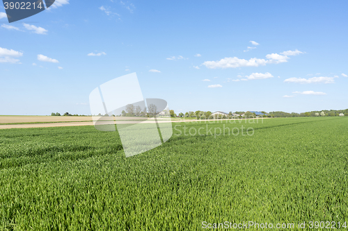 Image of rural springtime scenery