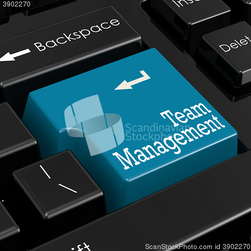 Image of Team management concept. 3D Render.