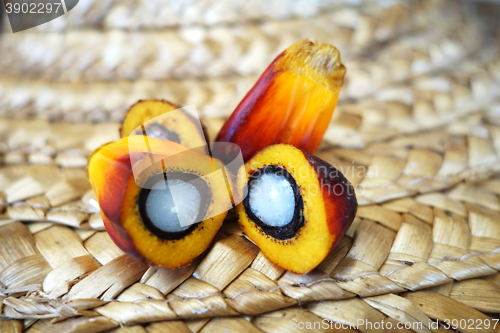 Image of Cut fresh oil palm fruits