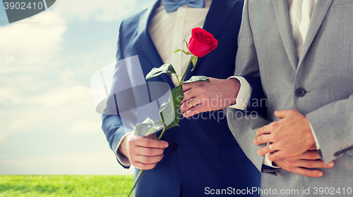 Image of close up of happy male gay couple holding hands