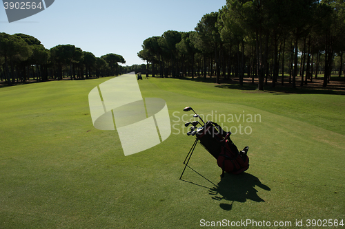 Image of golf bag on course