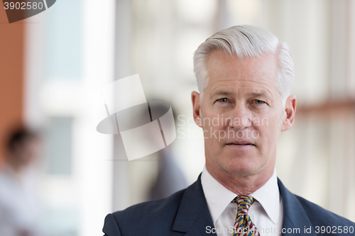 Image of portrait of handsome senior business man at modern office
