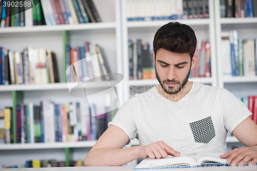 Image of student study  in school library