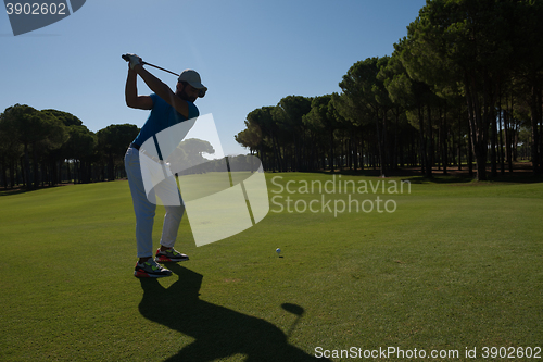 Image of golf player hitting shot