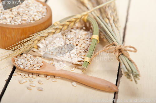 Image of organic barley grains