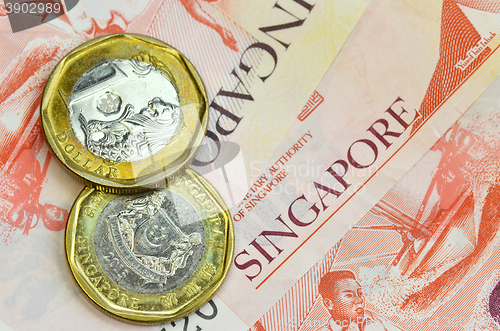Image of Singapore money on white background