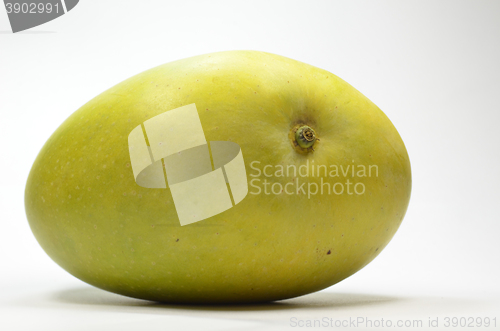 Image of Alphonso yellow Mango fruit  