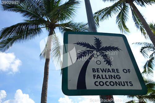 Image of Sign of coconut fall in a park