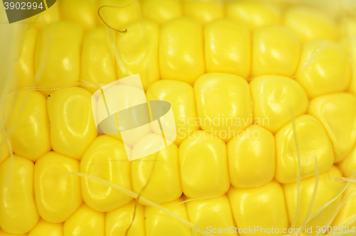 Image of Detail shot of fresh corn on cob