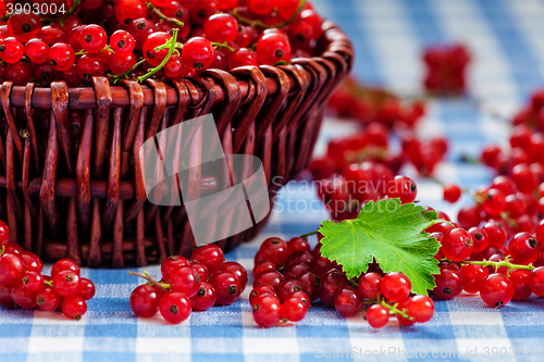 Image of Redcurrant in wicker bowl on the table