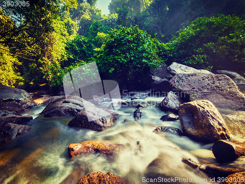 Image of Tropical waterfall