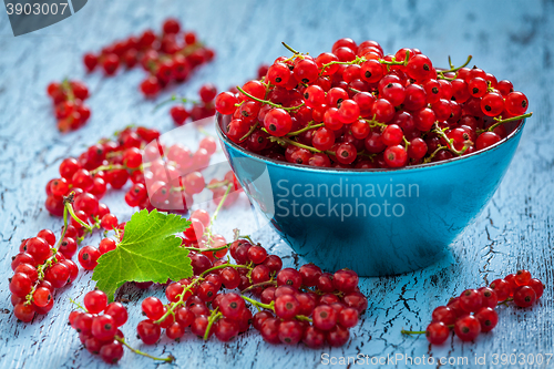 Image of Redcurrant in wicker bowl on the table