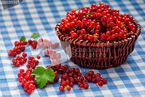 Image of Redcurrant in wicker bowl on the table