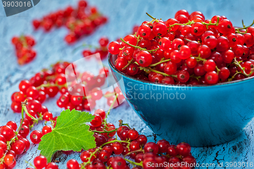 Image of Redcurrant in wicker bowl on the table