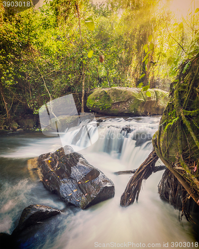 Image of Tropical waterfall