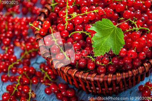 Image of Redcurrant in wicker bowl on the table