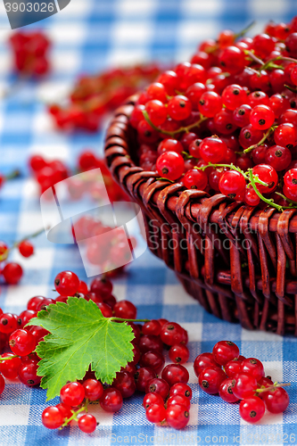 Image of Redcurrant in wicker bowl on the table