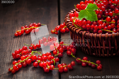 Image of Redcurrant in wicker bowl on the table