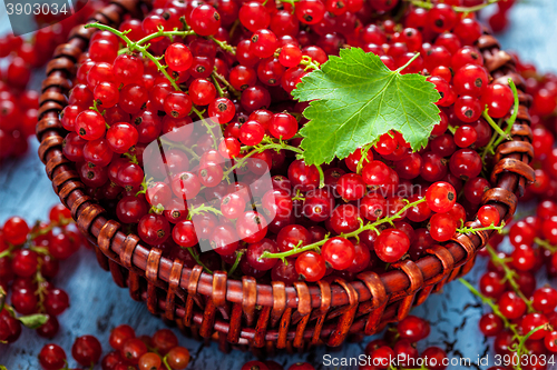 Image of Redcurrant in wicker bowl on the table