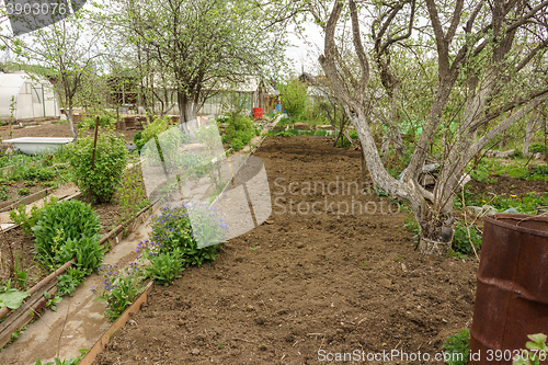 Image of Allotment garden path