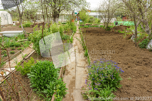 Image of Allotment garden path