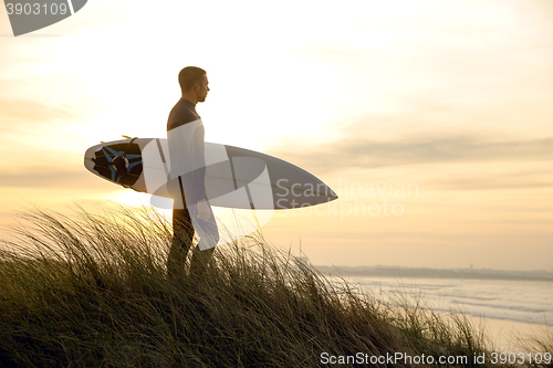 Image of Searching for the swell