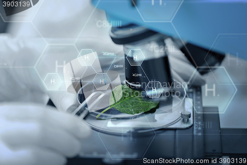 Image of close up of hand with microscope and green leaf