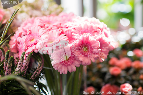 Image of close up of pink gerbera at flower shop
