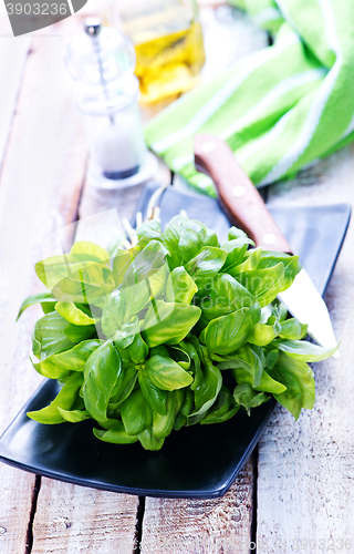 Image of fresh basil