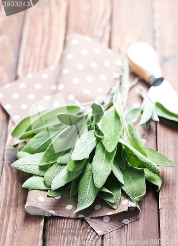 Image of fresh sage