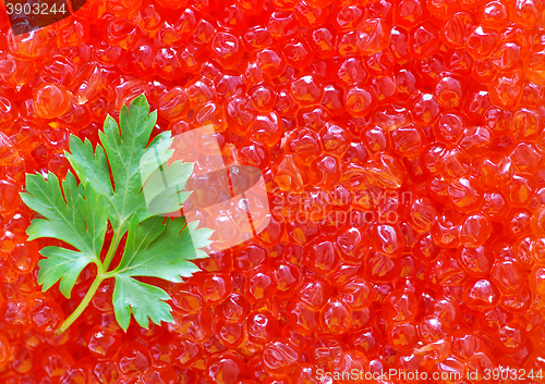 Image of salmon caviar