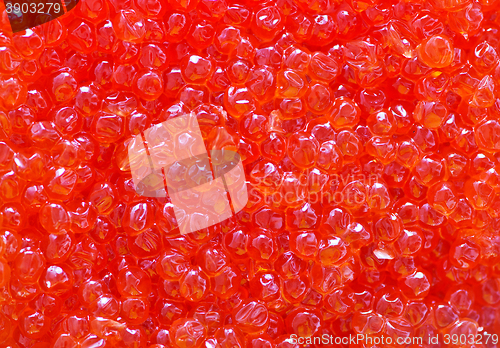 Image of salmon caviar