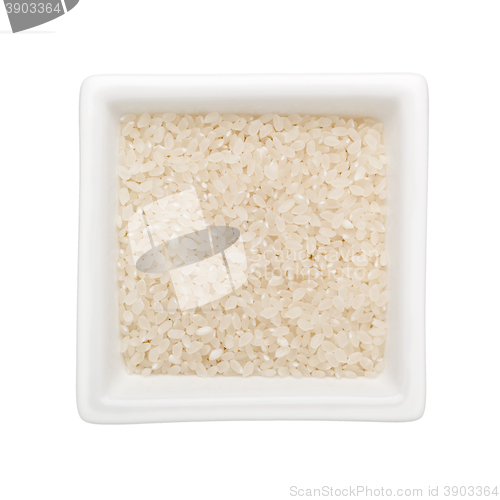 Image of Short grain rice