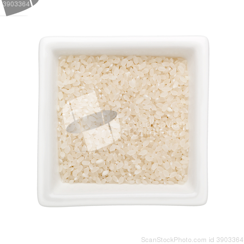 Image of Short grain rice