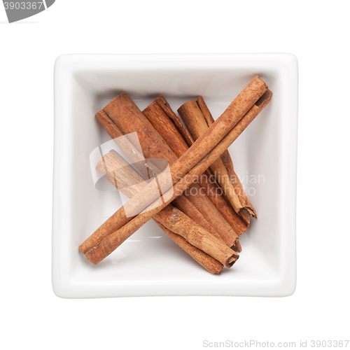 Image of Cinnamon