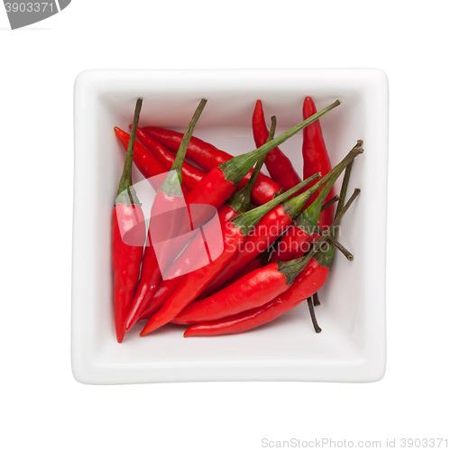 Image of Thai chili