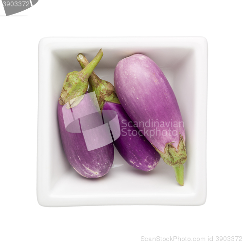 Image of Mini eggplant